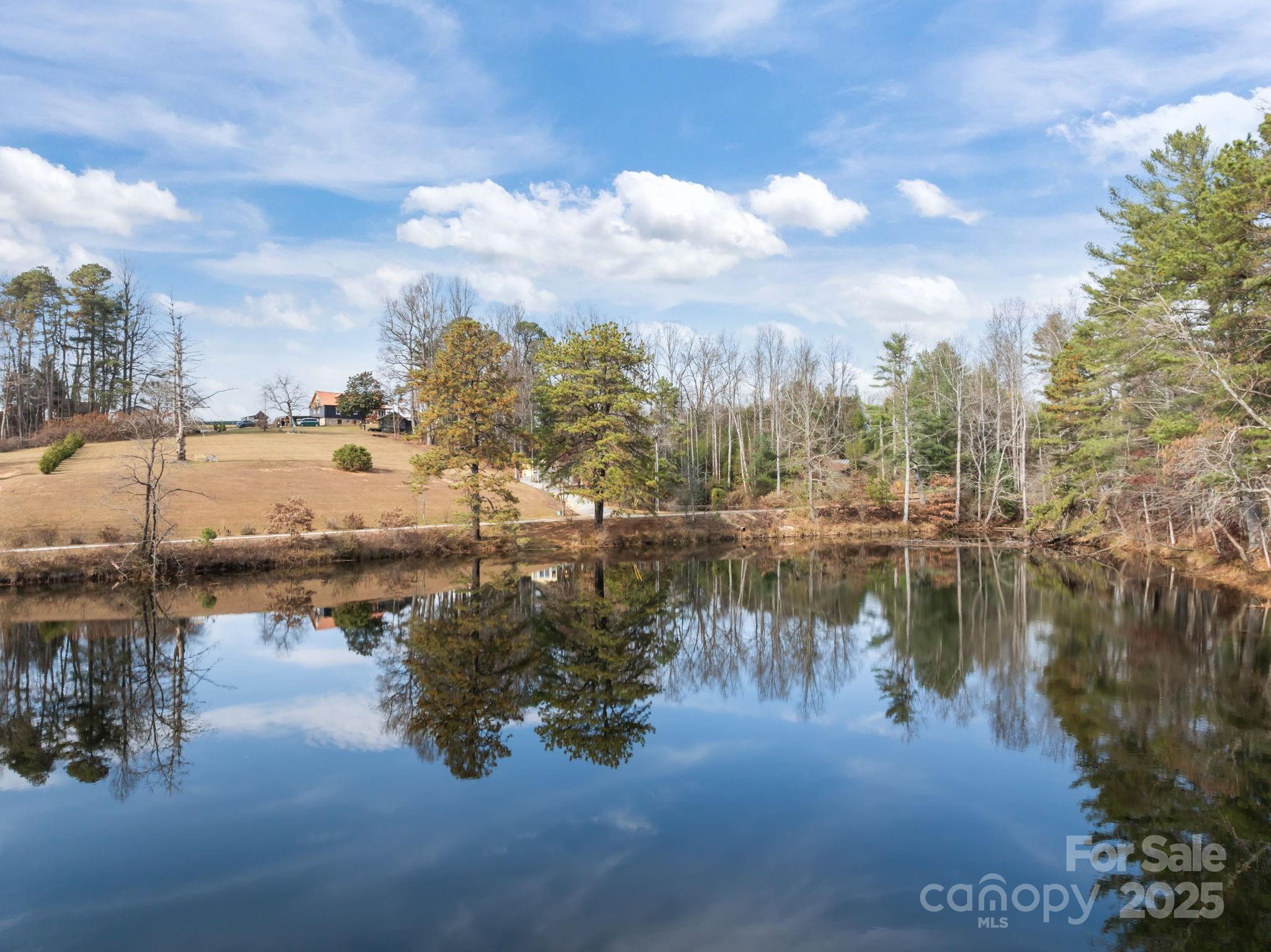 99999 Twin Lakes Drive Flat Rock NC 28792