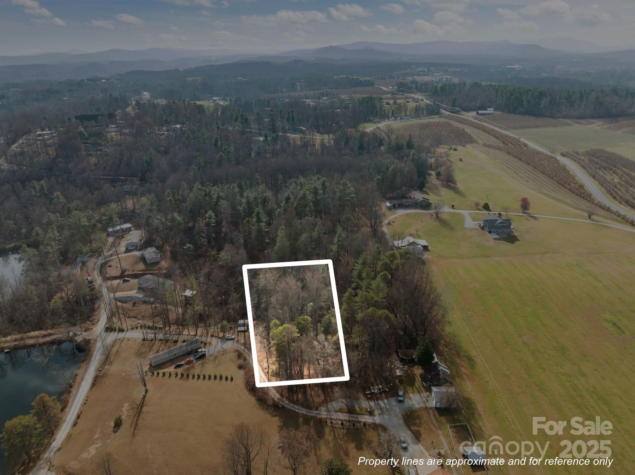 99999 Twin Lakes Drive Flat Rock NC 28792
