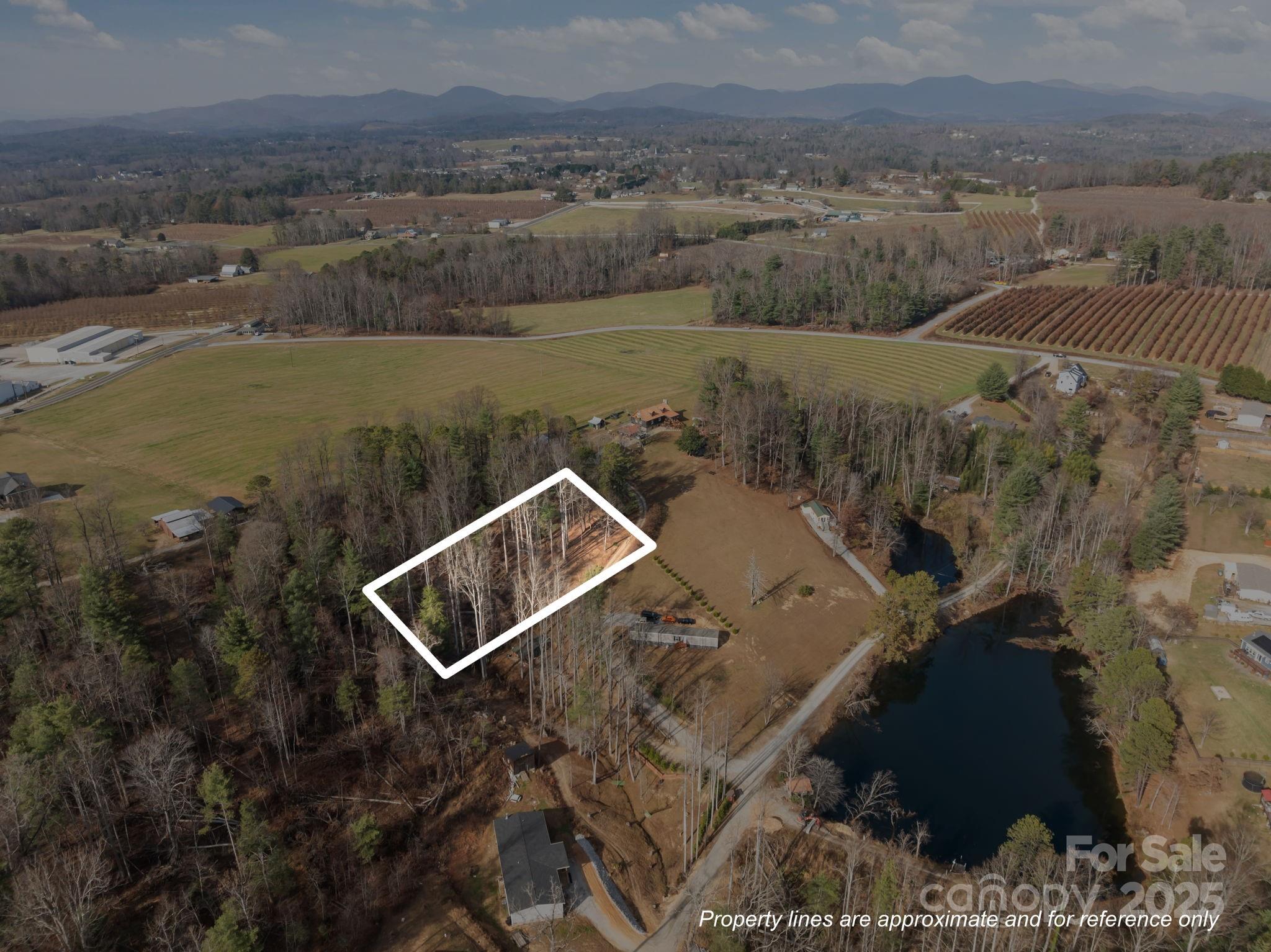 99999 Twin Lakes Drive Flat Rock NC 28792