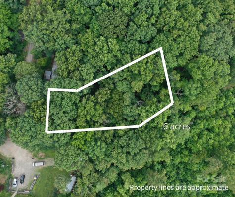 72 Pounders Drive Asheville NC 28804