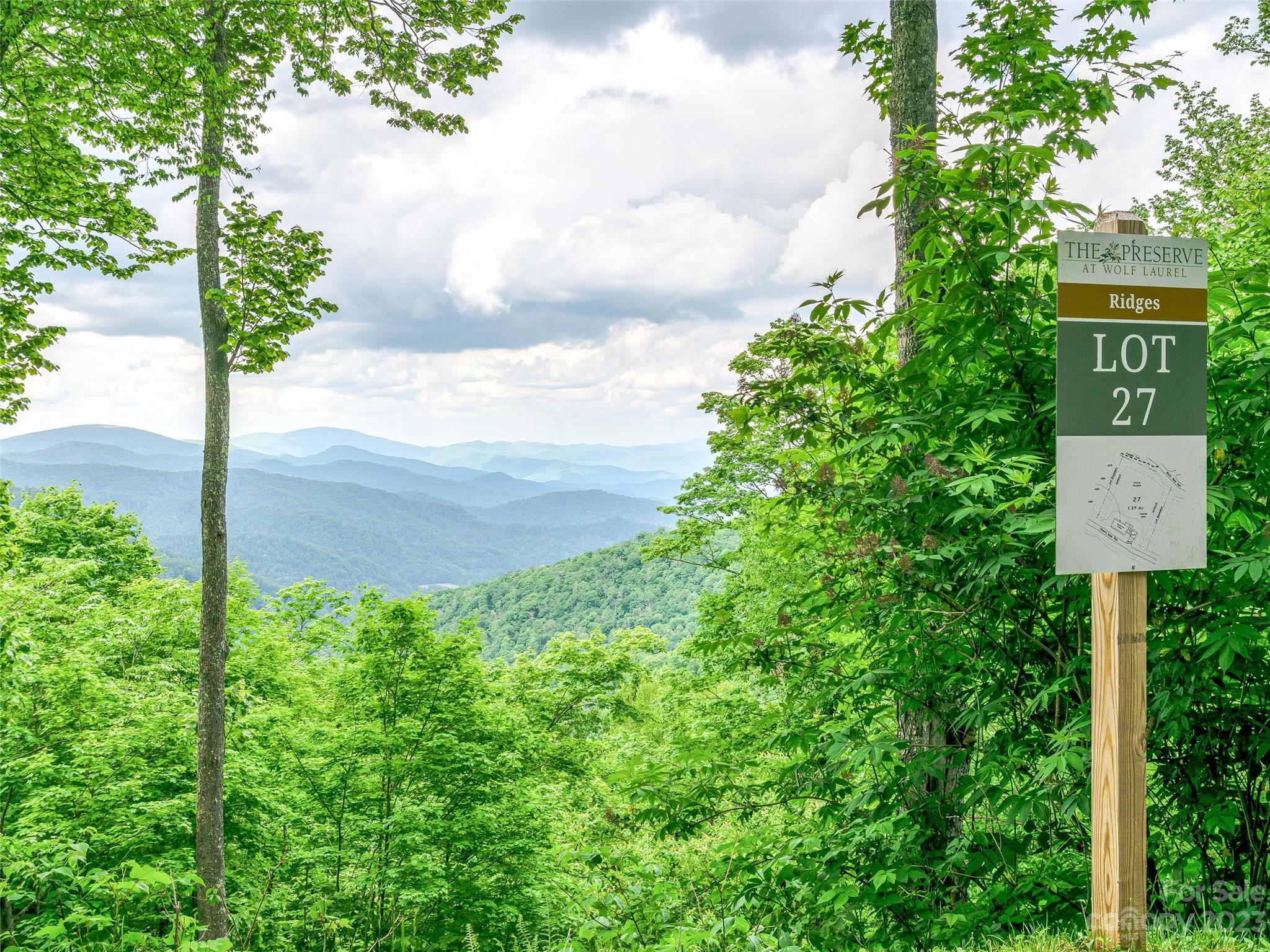 Lot 27 Black Bear Run Mars Hill NC 28754