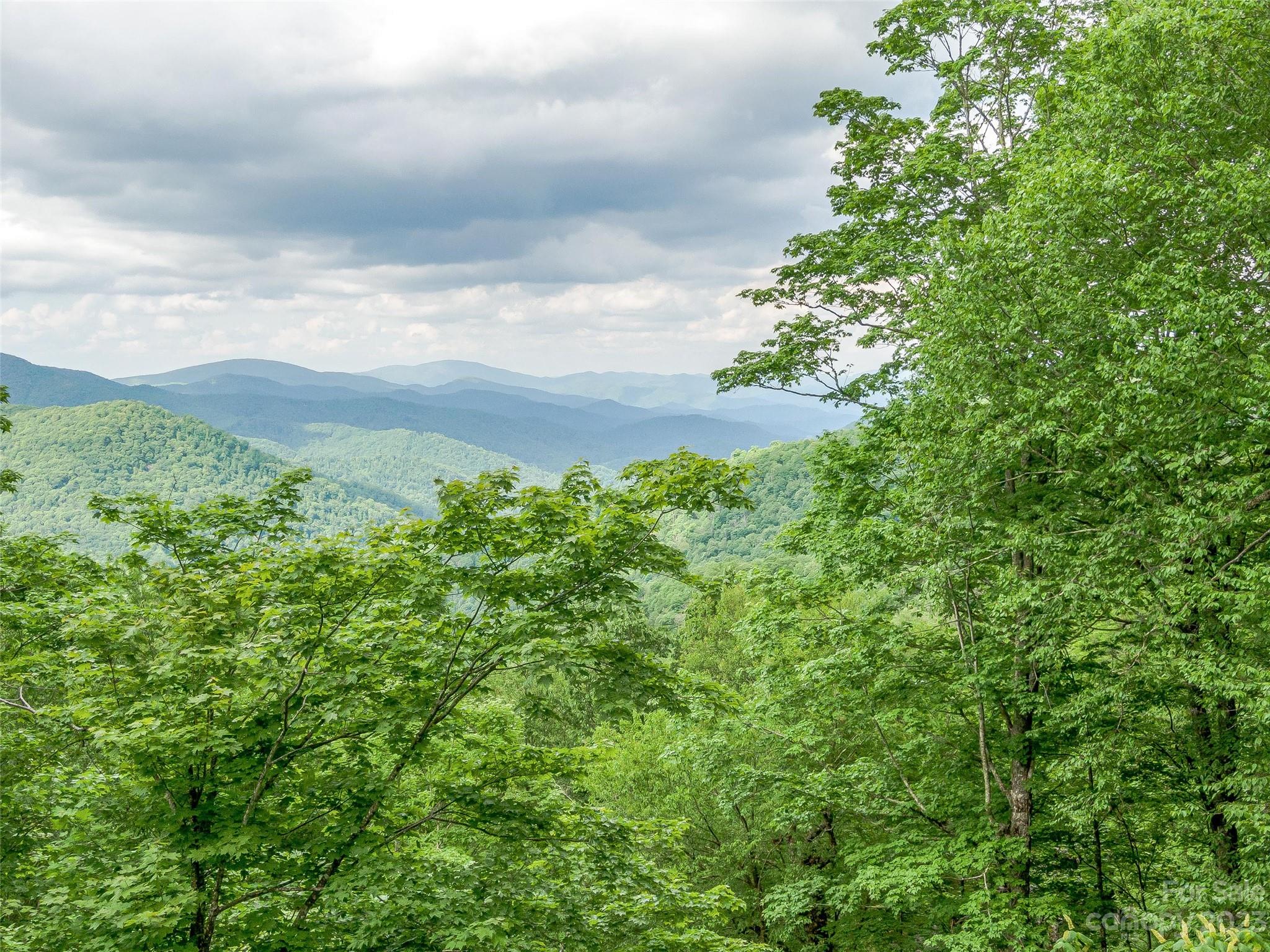 Lot 27 Black Bear Run Mars Hill NC 28754