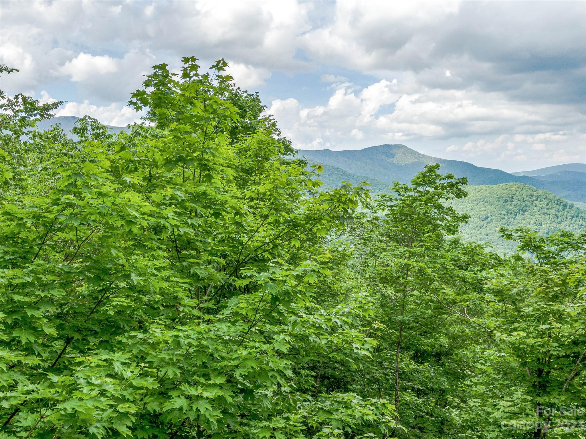 Lot 27 Black Bear Run Mars Hill NC 28754
