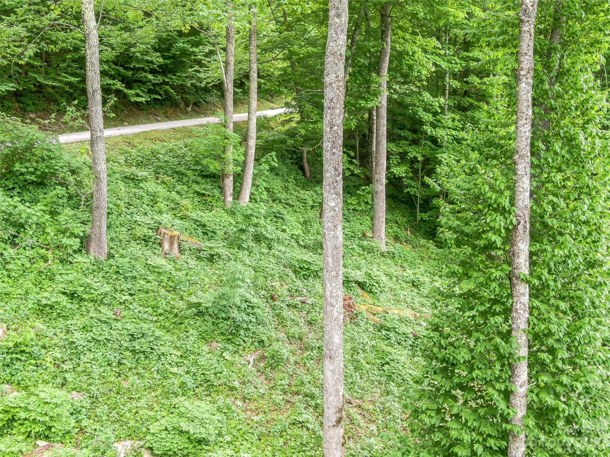 Lot 27 Black Bear Run Mars Hill NC 28754