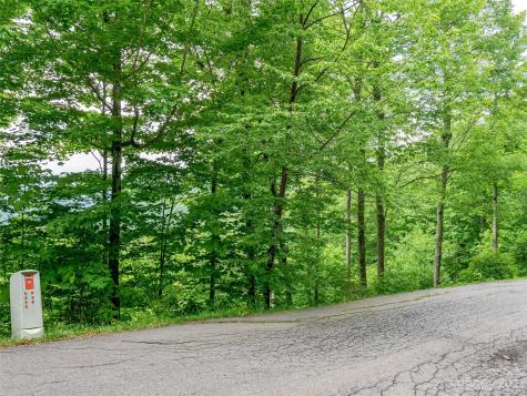 Lot 27 Black Bear Run Mars Hill NC 28754