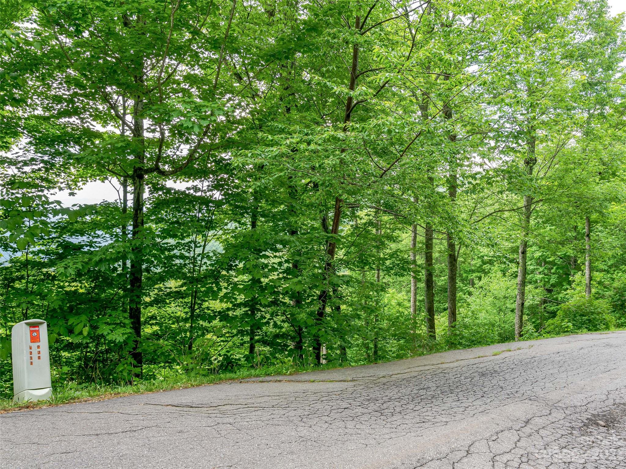Lot 27 Black Bear Run Mars Hill NC 28754