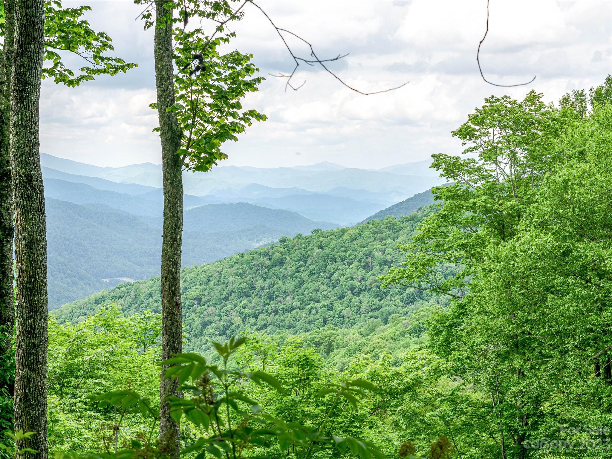 Lot 27 Black Bear Run Mars Hill NC 28754