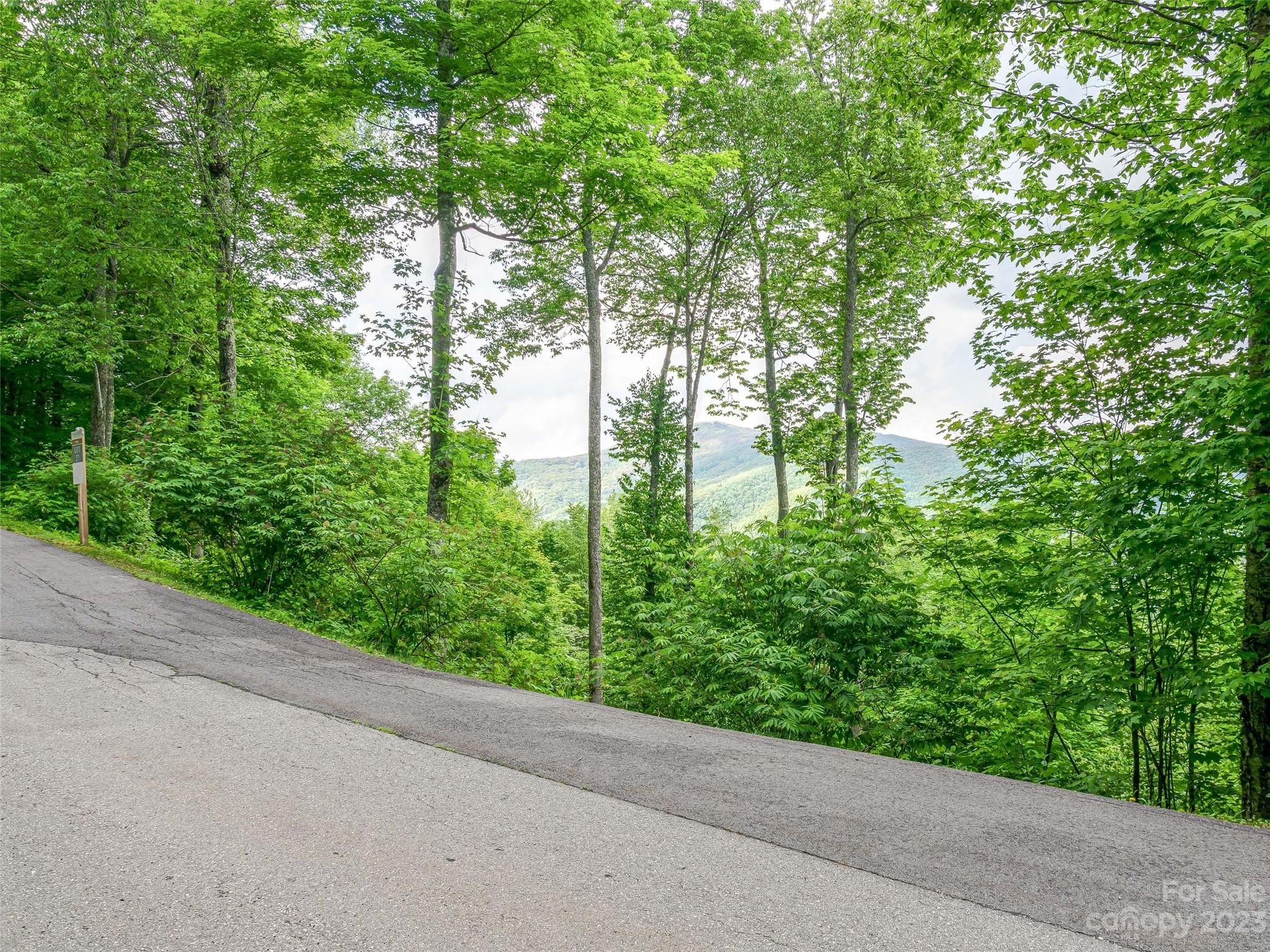 Lot 27 Black Bear Run Mars Hill NC 28754