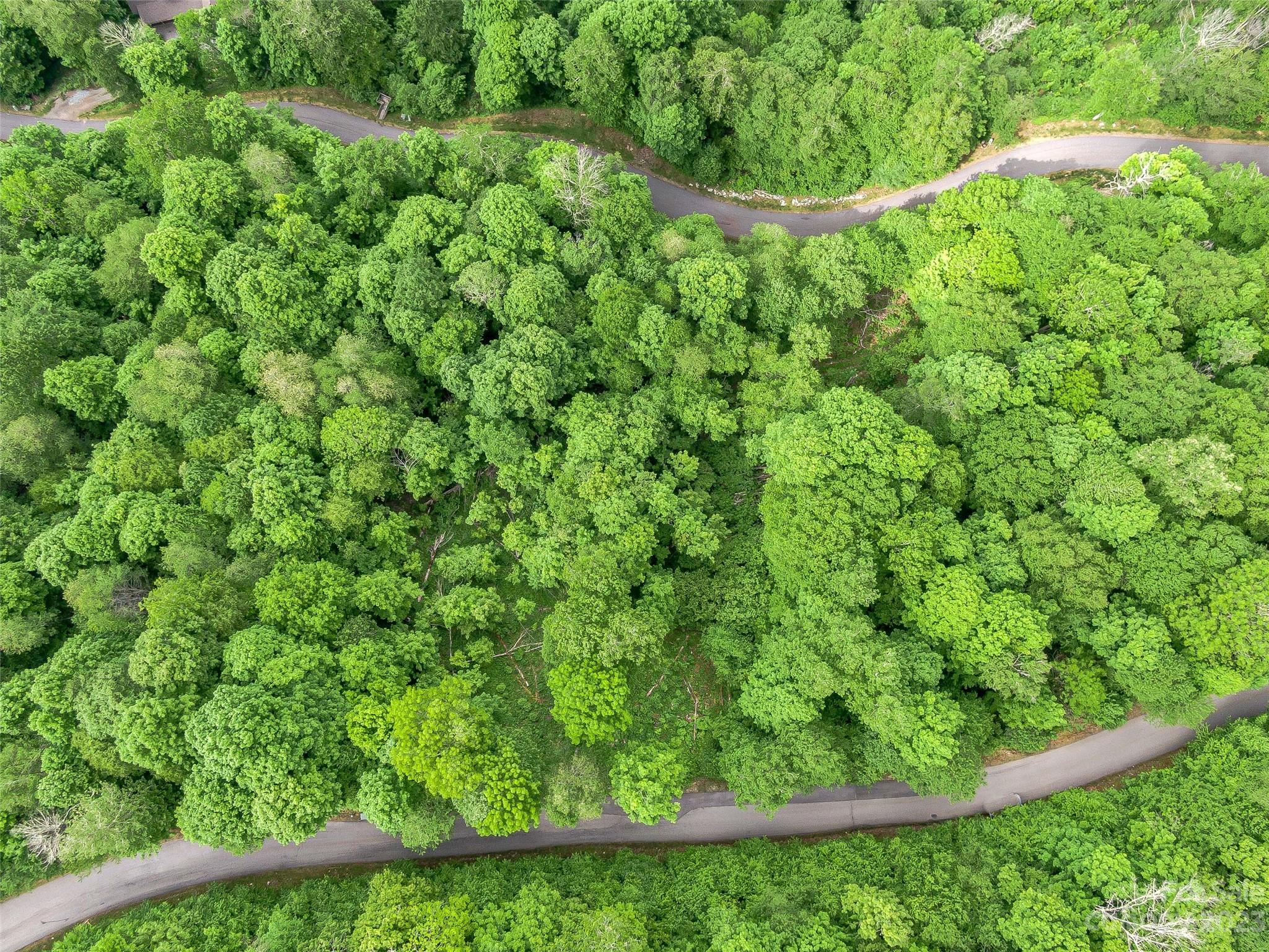 Lot 27 Black Bear Run Mars Hill NC 28754