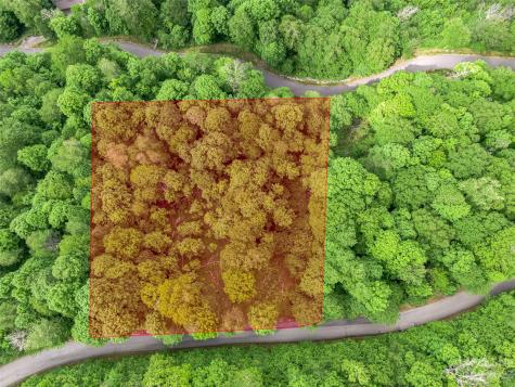 Lot 27 Black Bear Run Mars Hill NC 28754