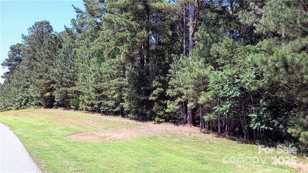 224 Riverwalk Drive Connelly Springs NC 28612