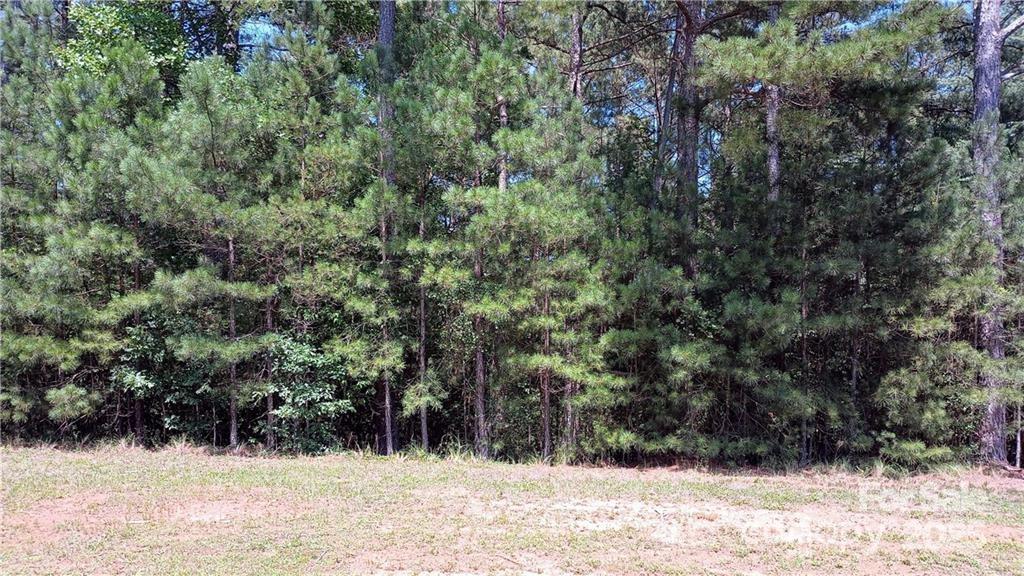224 Riverwalk Drive Connelly Springs NC 28612