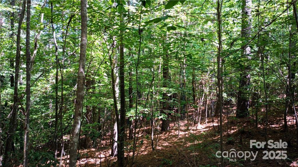 224 Riverwalk Drive Connelly Springs NC 28612