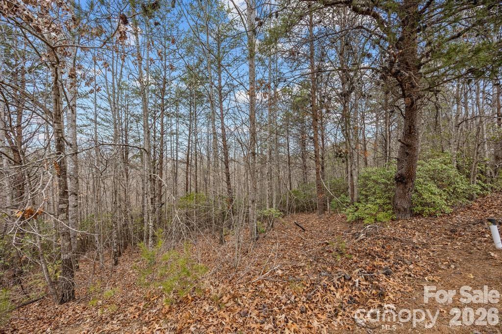 Lot 107 Glenhaven Drive Marion NC 28752