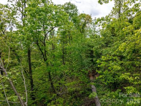 124 Summit Tower Circle Asheville NC 28804