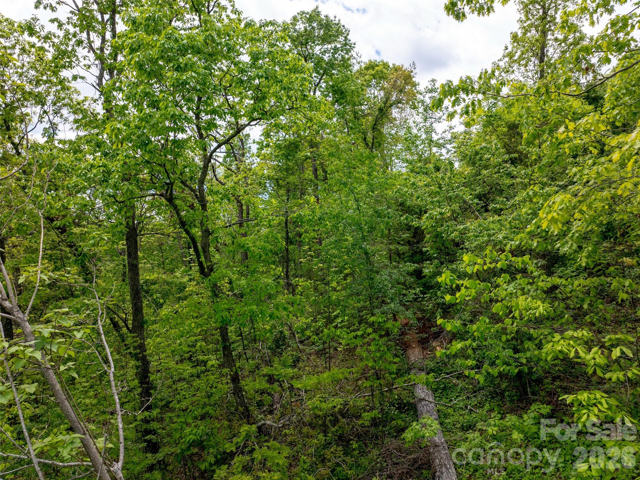 124 Summit Tower Circle Asheville NC 28804