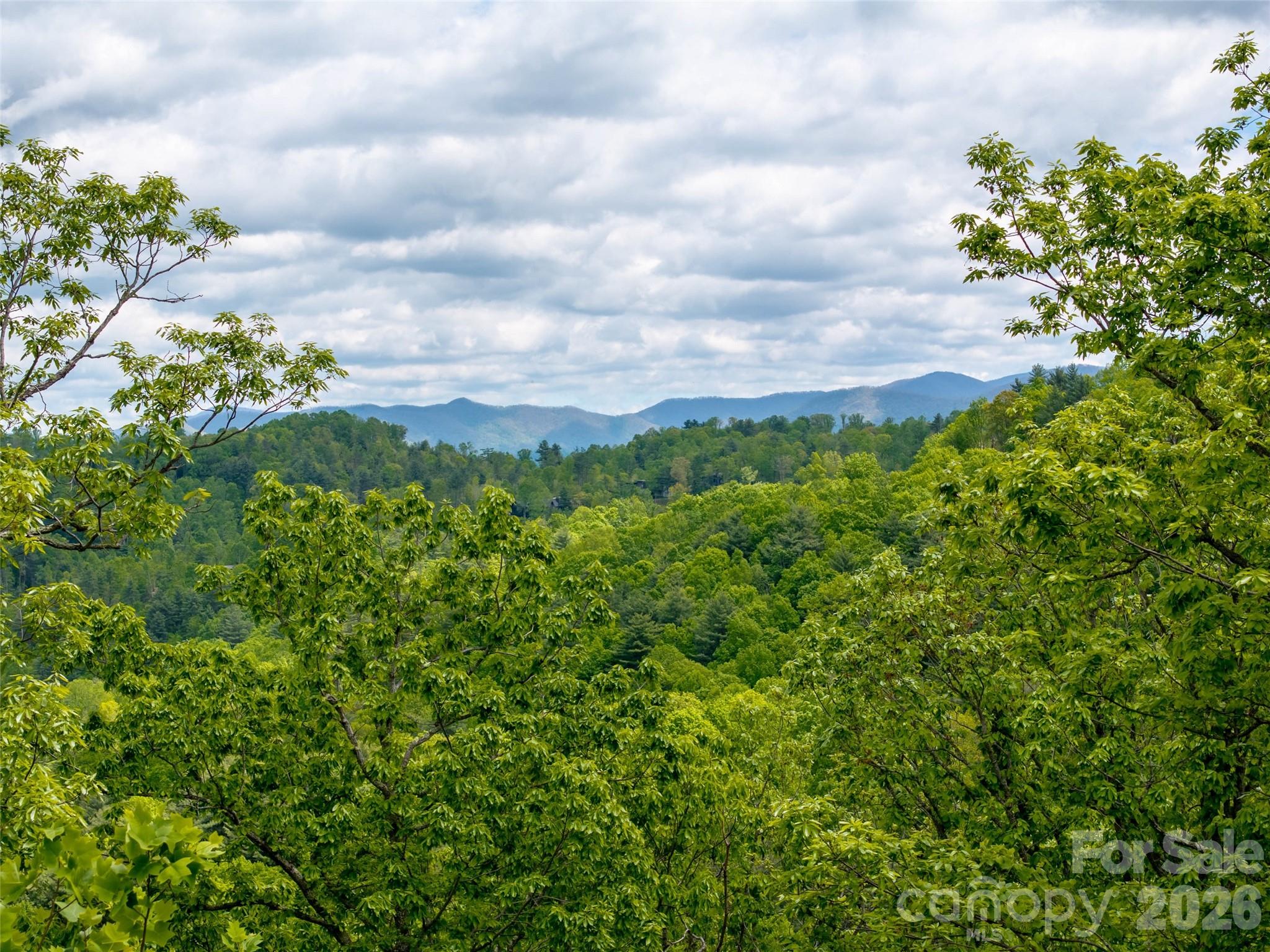 124 Summit Tower Circle Asheville NC 28804