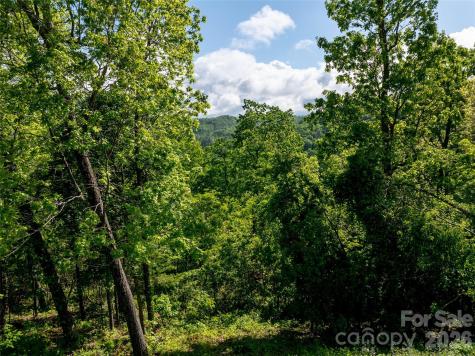 124 Summit Tower Circle Asheville NC 28804