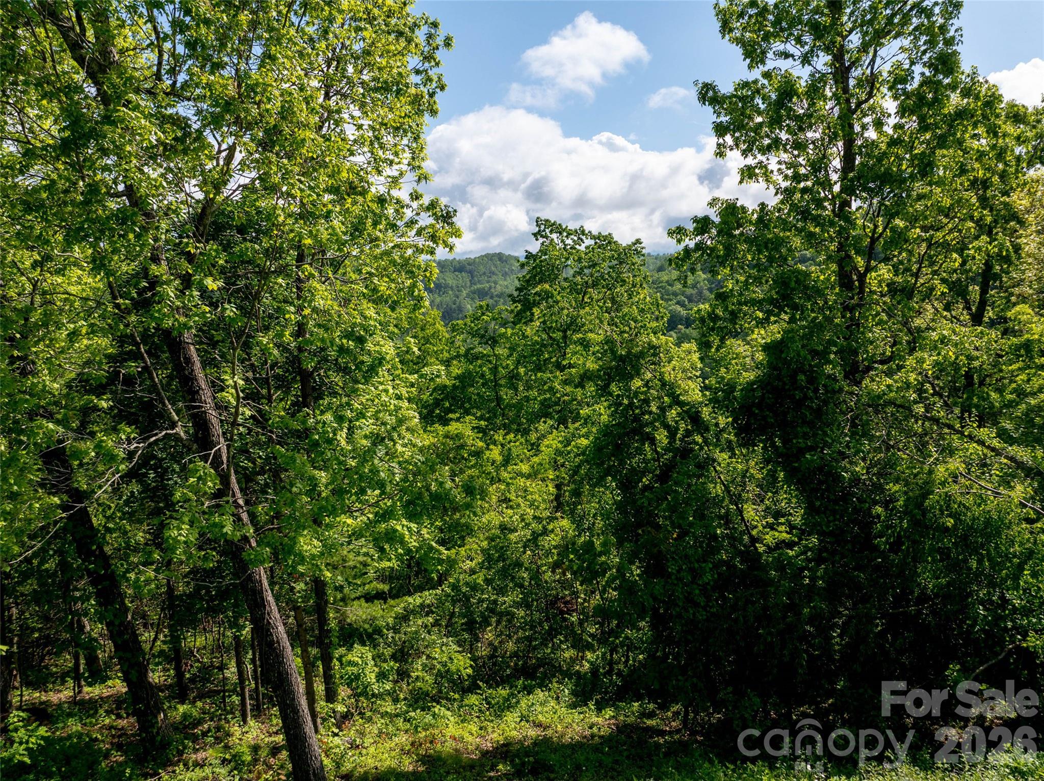 124 Summit Tower Circle Asheville NC 28804