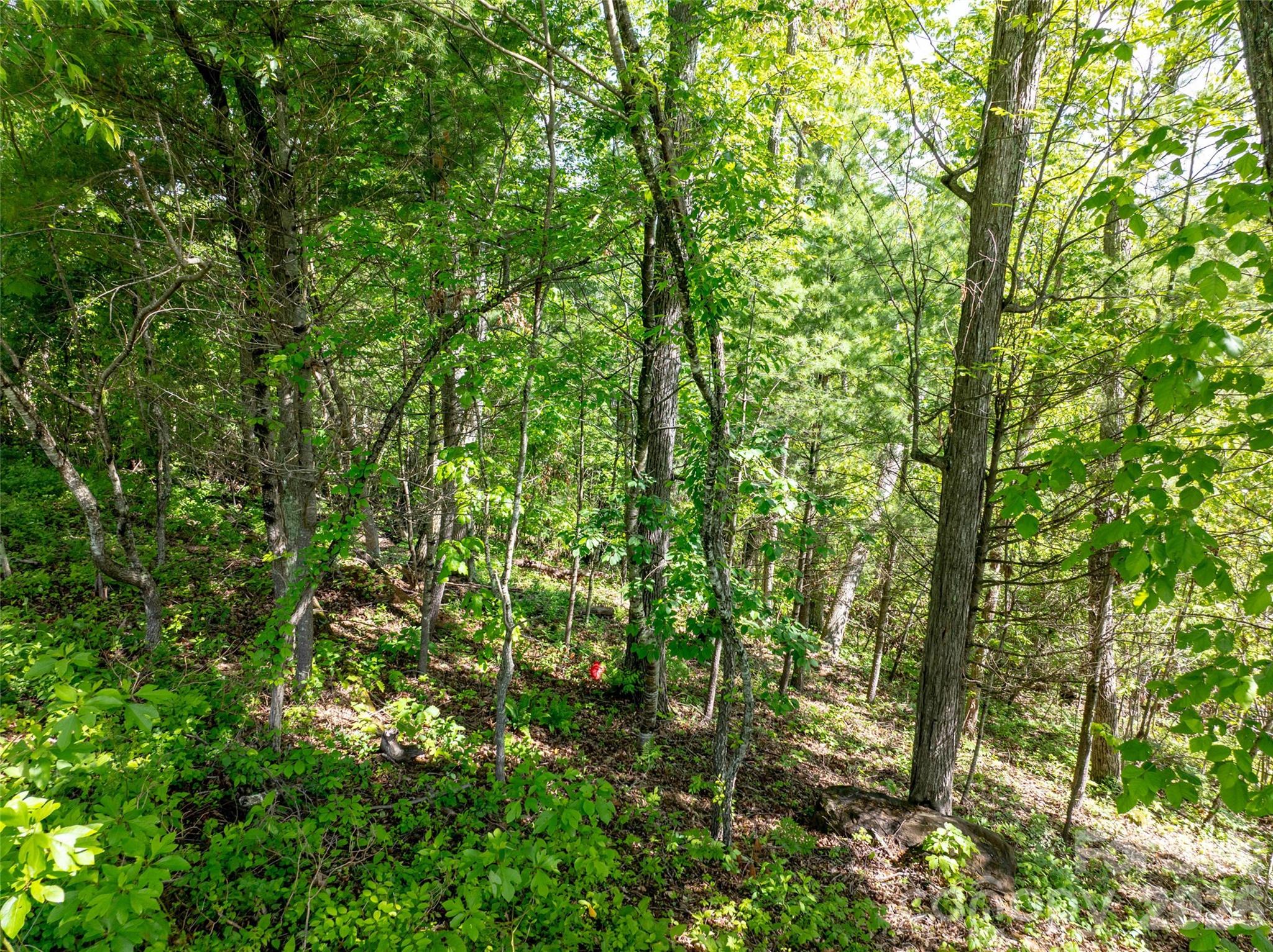 124 Summit Tower Circle Asheville NC 28804