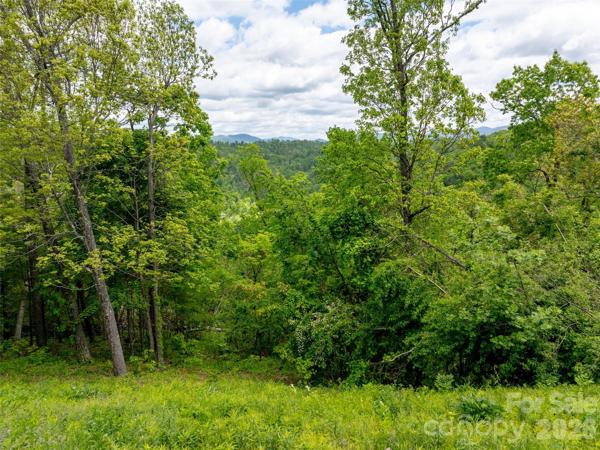124 Summit Tower Circle Asheville NC 28804