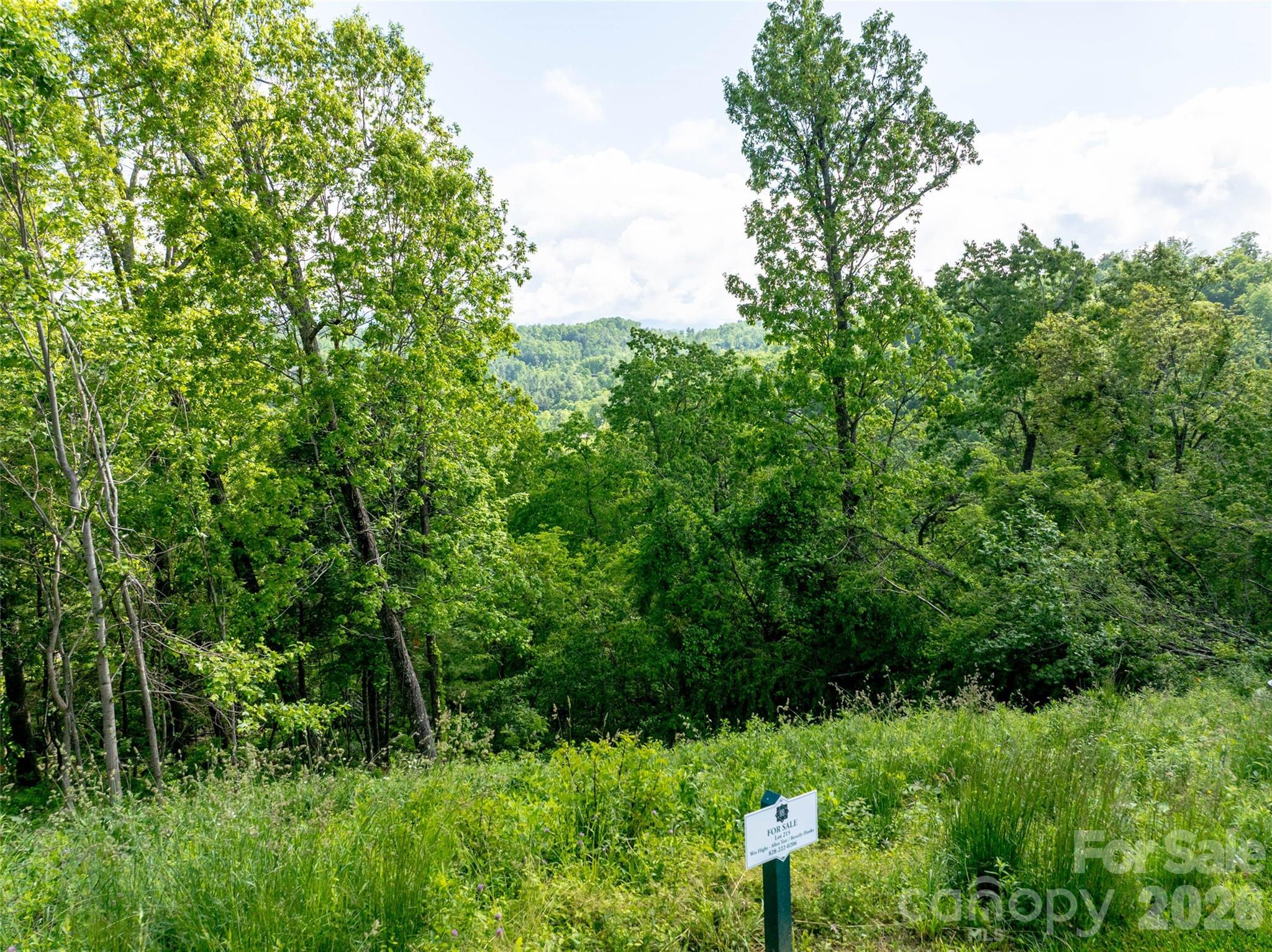 124 Summit Tower Circle Asheville NC 28804