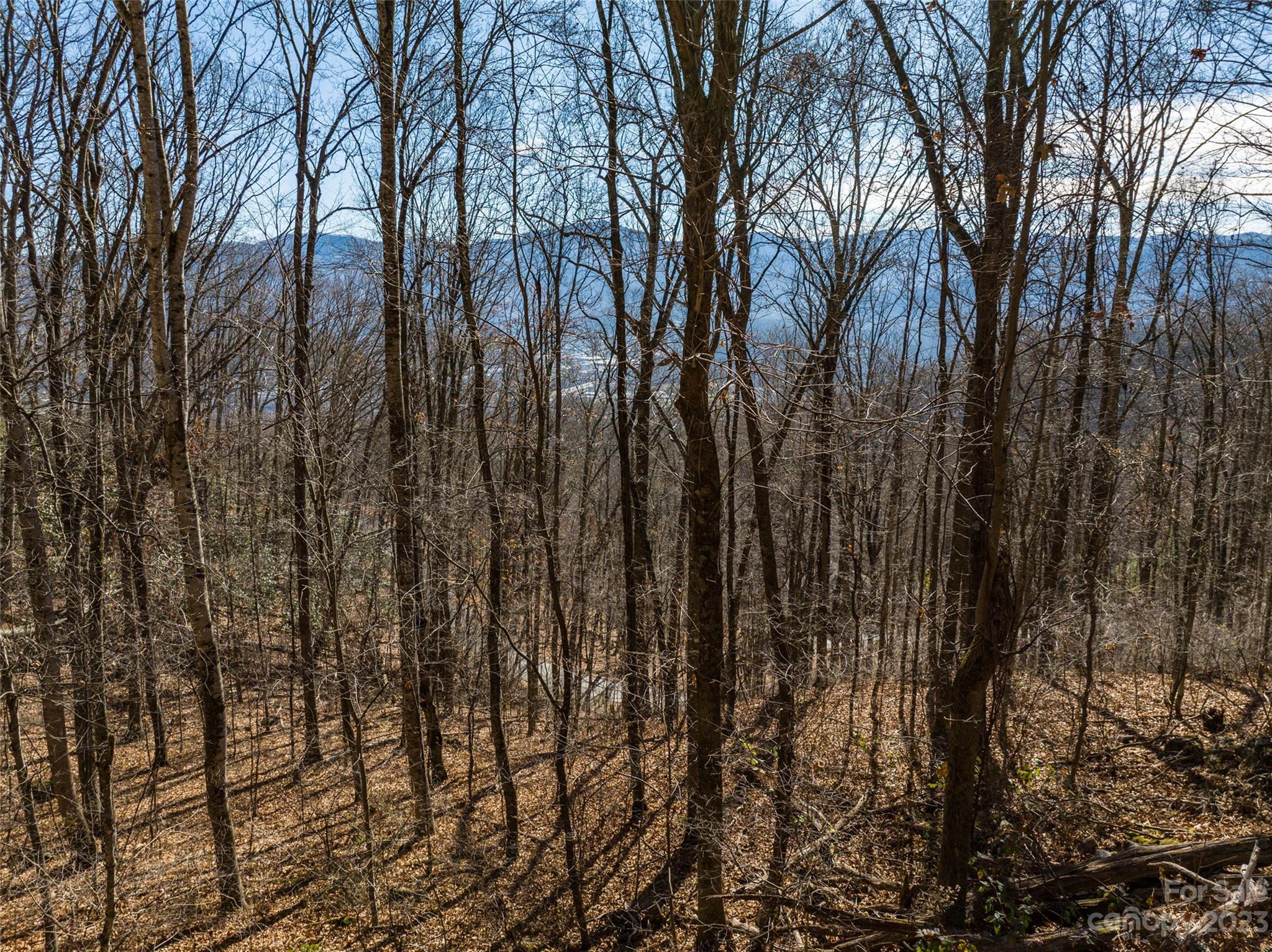 933 Dogwood Trail Waynesville NC 28786