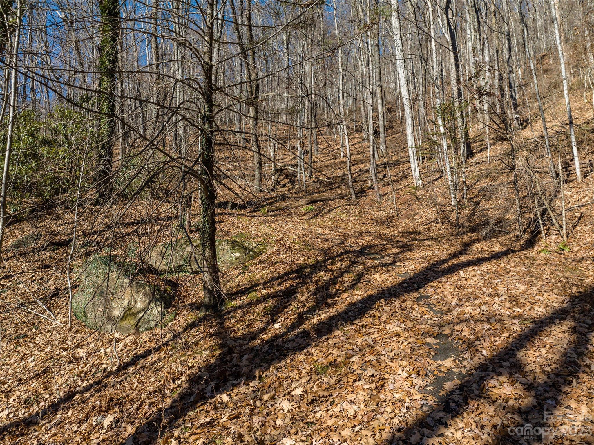 933 Dogwood Trail Waynesville NC 28786