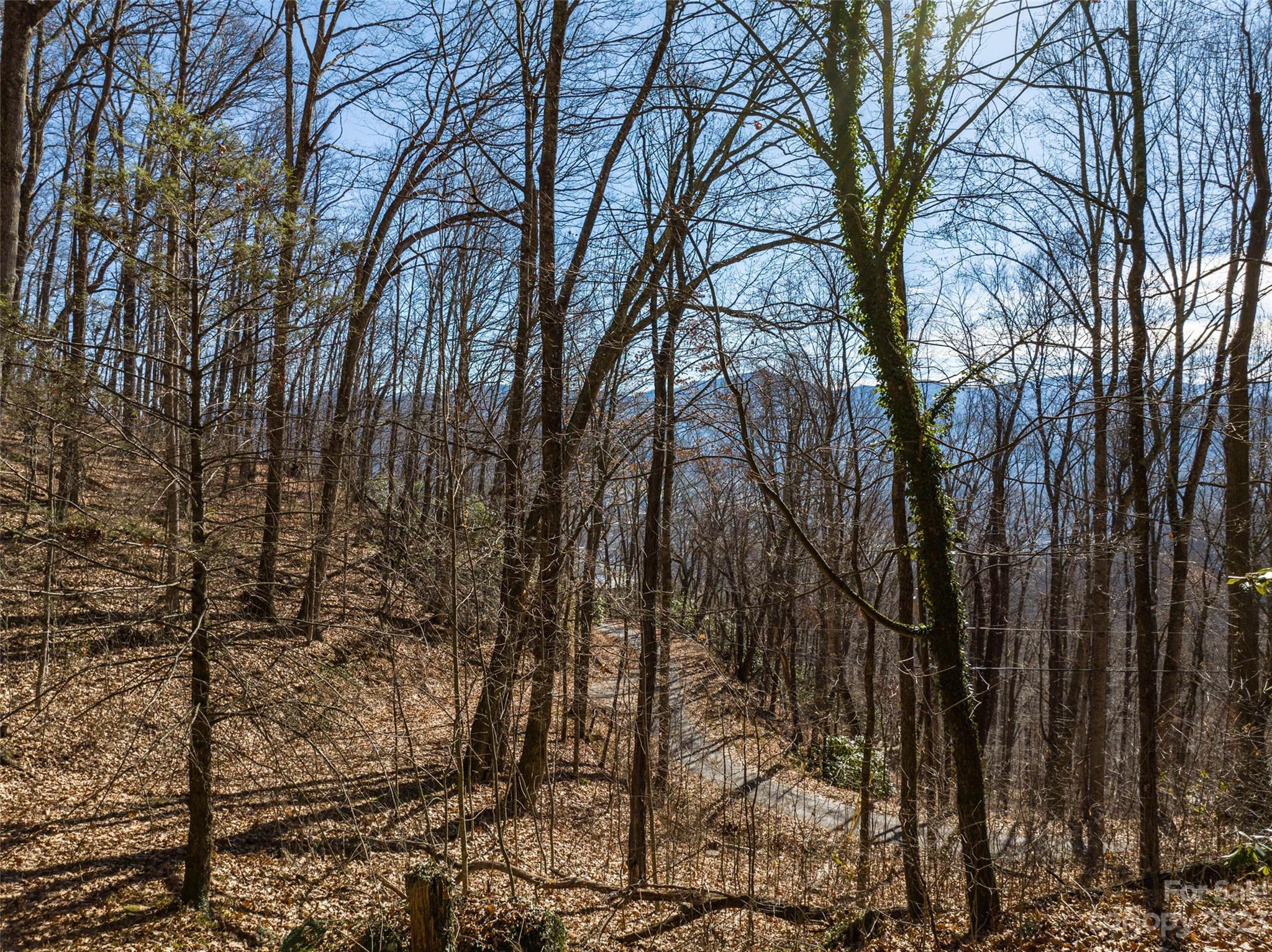 933 Dogwood Trail Waynesville NC 28786