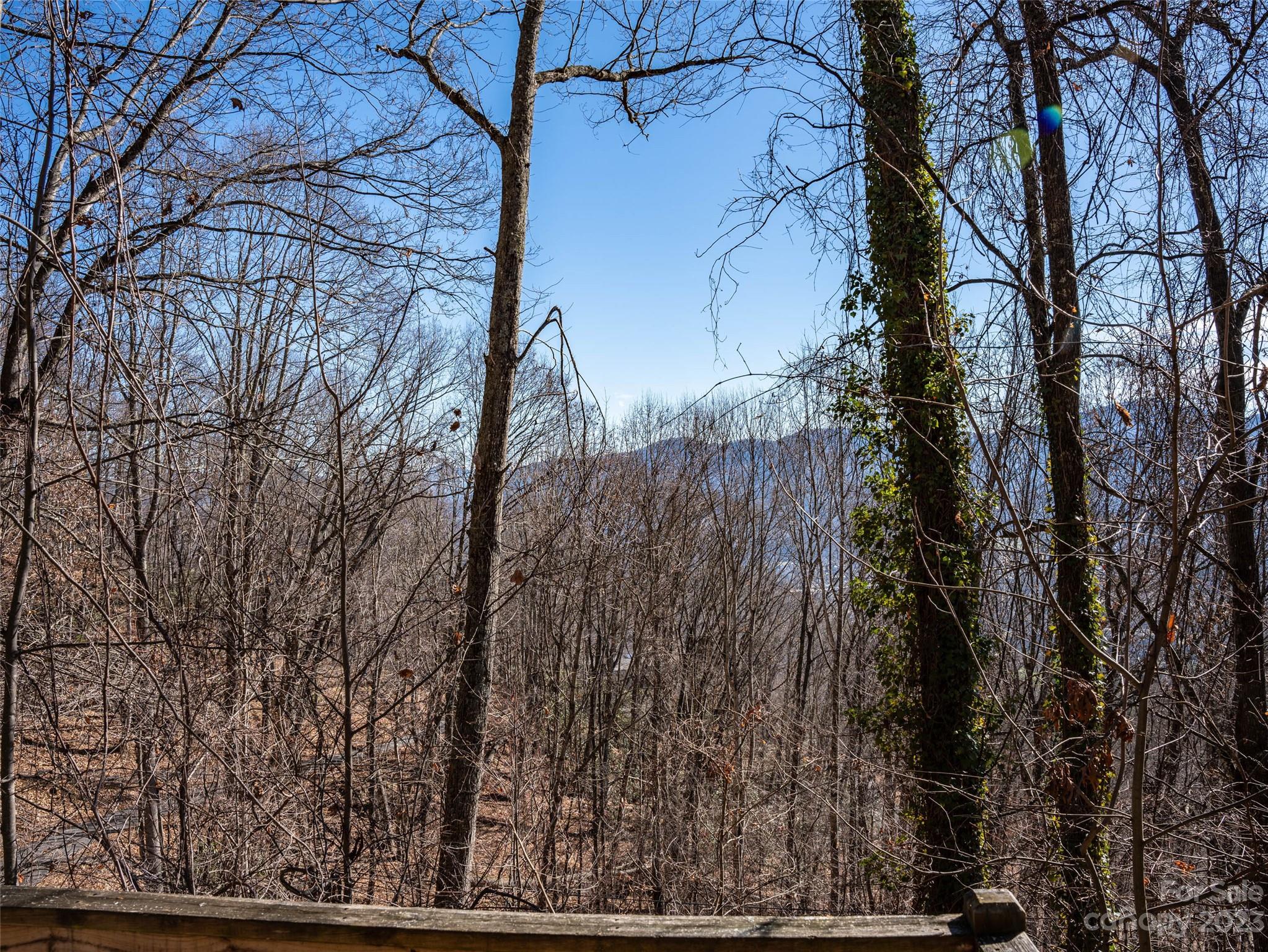 933 Dogwood Trail Waynesville NC 28786