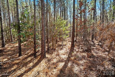 00 Three Crow Road Lancaster SC 29720