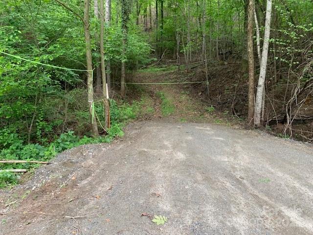 42.16 Acs Green River Cove Road Saluda NC 28773