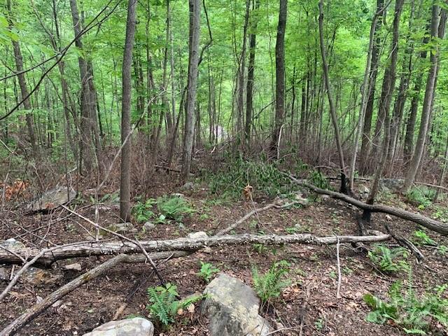 42.16 Acs Green River Cove Road Saluda NC 28773