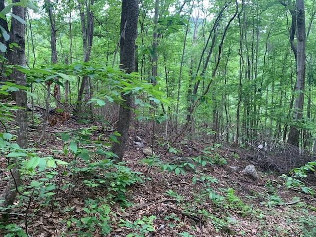 42.16 Acs Green River Cove Road Saluda NC 28773