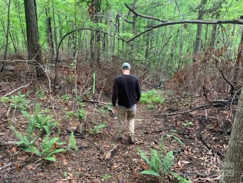 42.16 Acs Green River Cove Road Saluda NC 28773