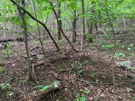 42.16 Acs Green River Cove Road Saluda NC 28773