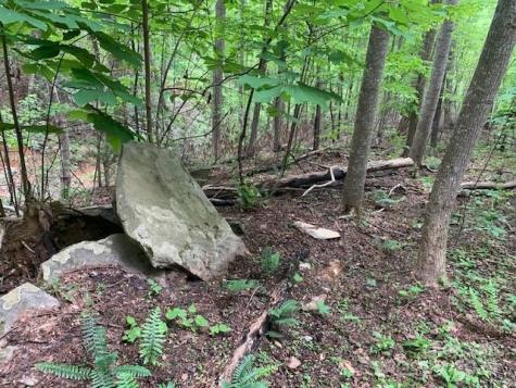 42.16 Acs Green River Cove Road Saluda NC 28773