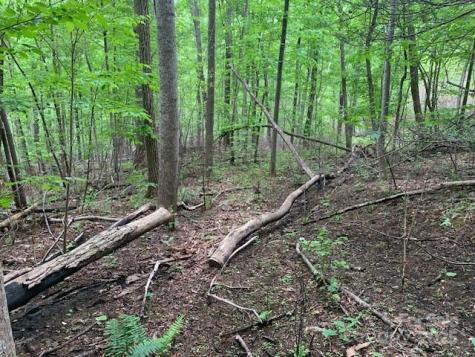 42.16 Acs Green River Cove Road Saluda NC 28773