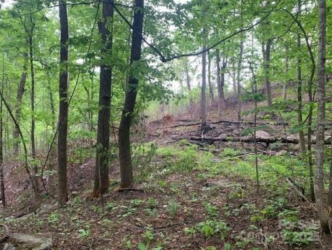 42.16 Acs Green River Cove Road Saluda NC 28773