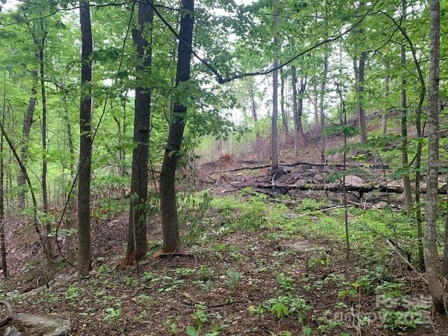 42.16 Acs Green River Cove Road Saluda NC 28773
