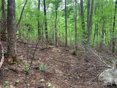 42.16 Acs Green River Cove Road Saluda NC 28773