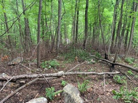 42.16 Acs Green River Cove Road Saluda NC 28773