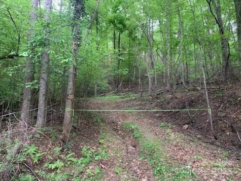 42.16 Acs Green River Cove Road Saluda NC 28773