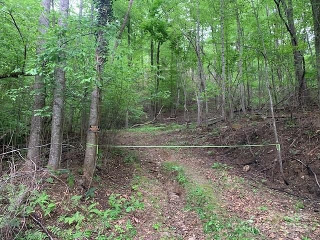 42.16 Acs Green River Cove Road Saluda NC 28773