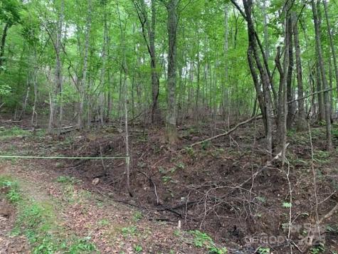 42.16 Acs Green River Cove Road Saluda NC 28773