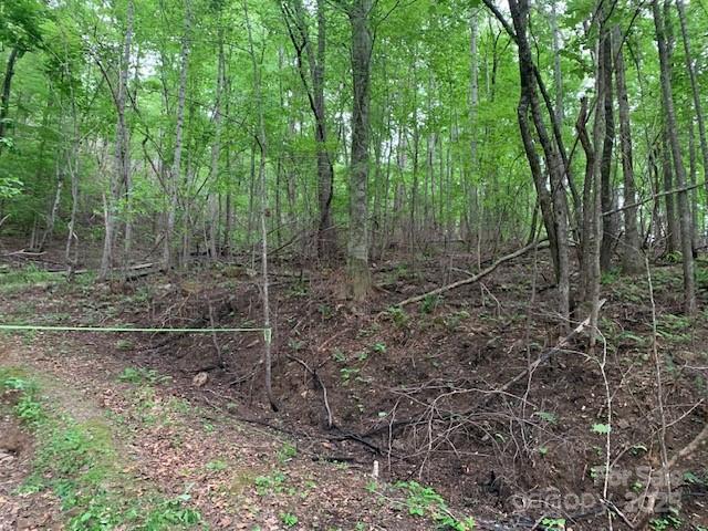 42.16 Acs Green River Cove Road Saluda NC 28773