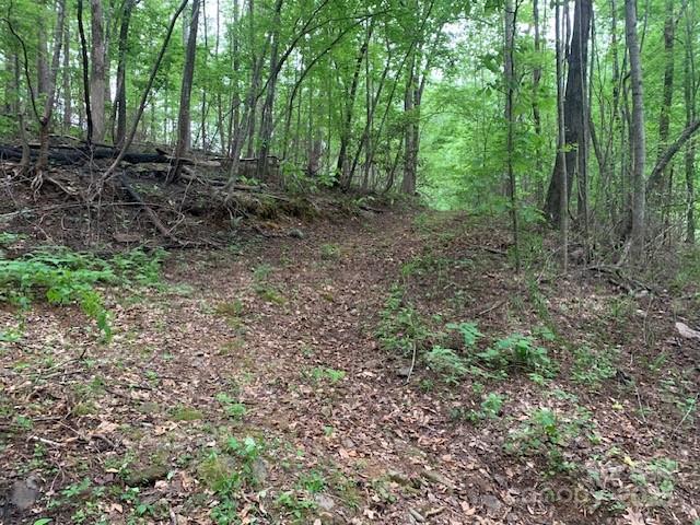 42.16 Acs Green River Cove Road Saluda NC 28773
