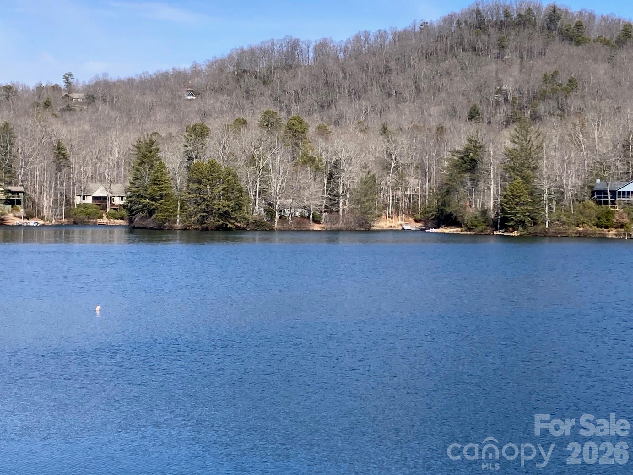 269 Notlvsi Court Brevard NC 28712