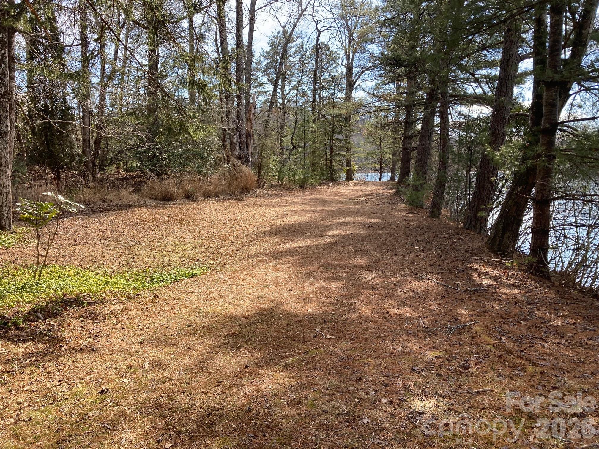 269 Notlvsi Court Brevard NC 28712