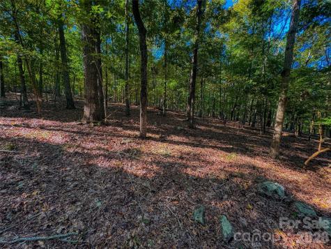 388 Palisade Trace Denton NC 27239